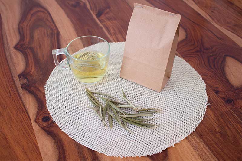 Infusión de hojas de olivo y sus Beneficios