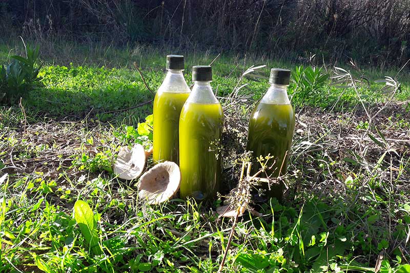 Es mejor un aceite virgen extra filtrado o sin filtrar